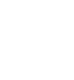logo natasa